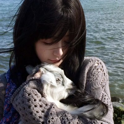 诚实国度的爱丽丝